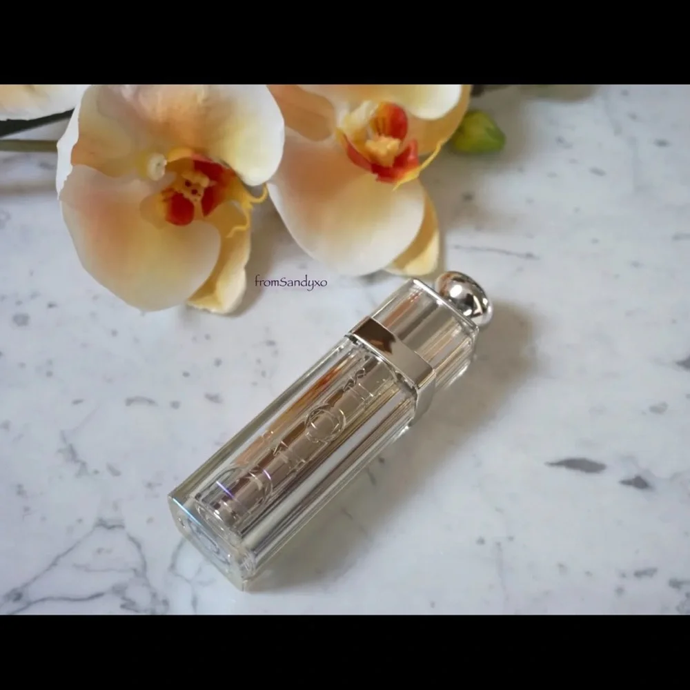 Dior Addict Lipstick Case